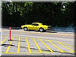 IMG_2558.JPG