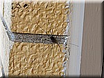 IMG_2562.JPG