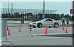 DSC_1557.JPG