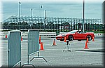 DSC_1561.JPG